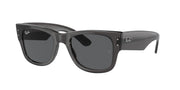 Ray-Ban RB0840S Transparent Black Sunglasses