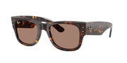 Ray-Ban RB0840S Havana Sunglasses