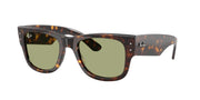 Ray-Ban RB0840S Havana Sunglasses