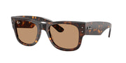 Ray-Ban RB0840S Havana Sunglasses