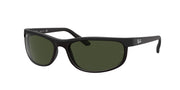 Ray-Ban RB2027 Black Sunglasses