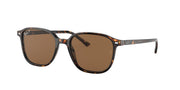 Ray-Ban RB2193 Tortoise Sunglasses