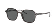Ray-Ban RB2194 Striped Grey Sunglasses
