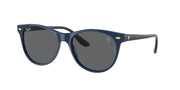 Ray-Ban RB2202M Blue Sunglasses