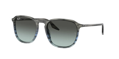 Ray-Ban RB2203 Sunglasses