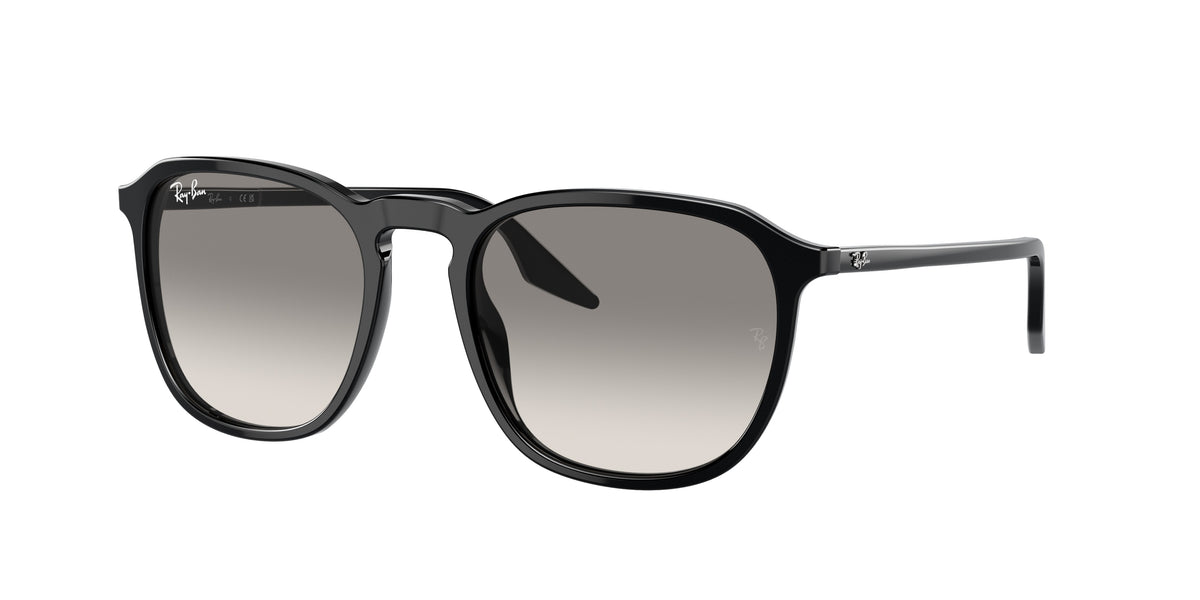 Ray-Ban RB2203 Black Sunglasses