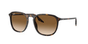 Ray-Ban RB2203 Havana Sunglasses