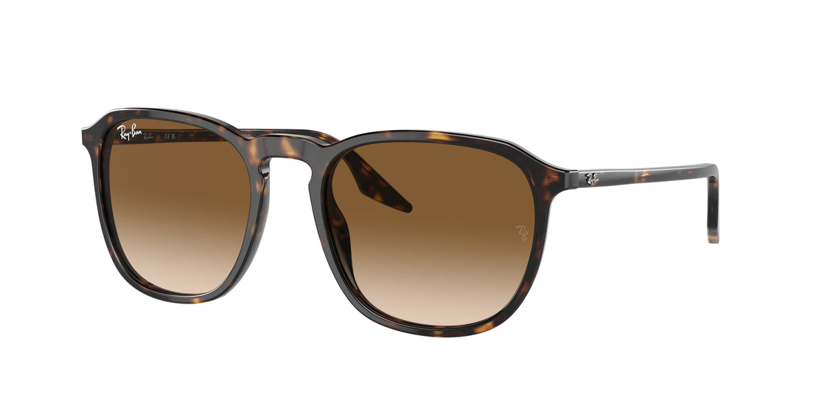 Ray-Ban RB2203 Havana Sunglasses