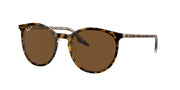 Ray-Ban RB2204 Havana On Transparent Sunglasses