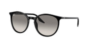 Ray-Ban RB2204 Black Sunglasses