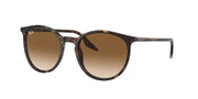 Ray-Ban RB2204 Havana Sunglasses