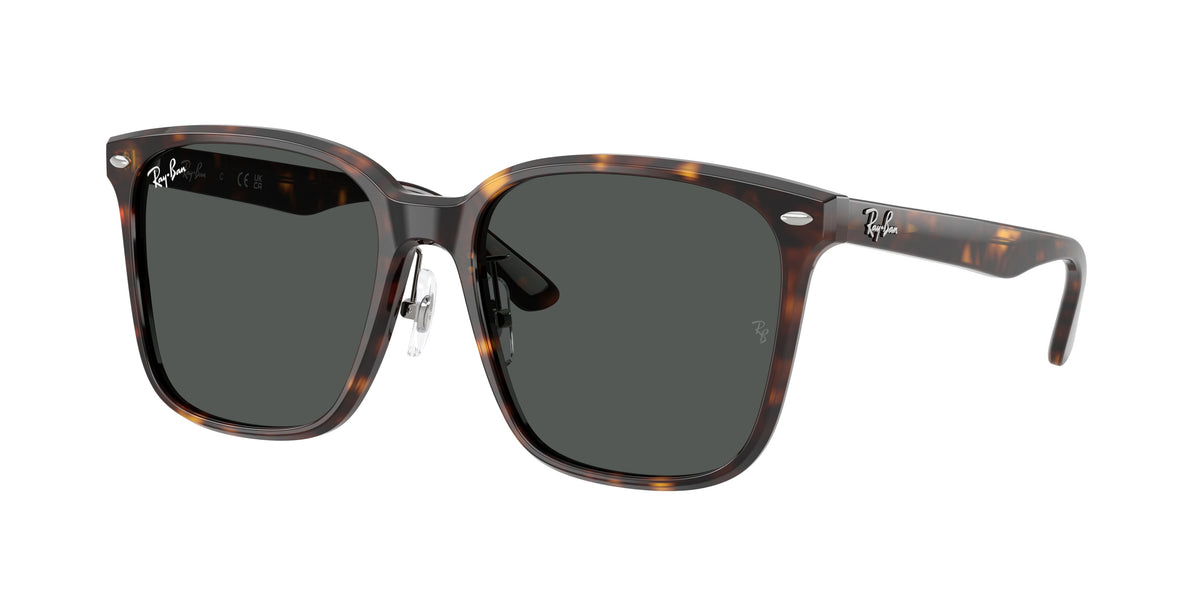 Ray-Ban RB2206D Havana Sunglasses