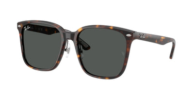 Ray-Ban RB2206D Sunglasses