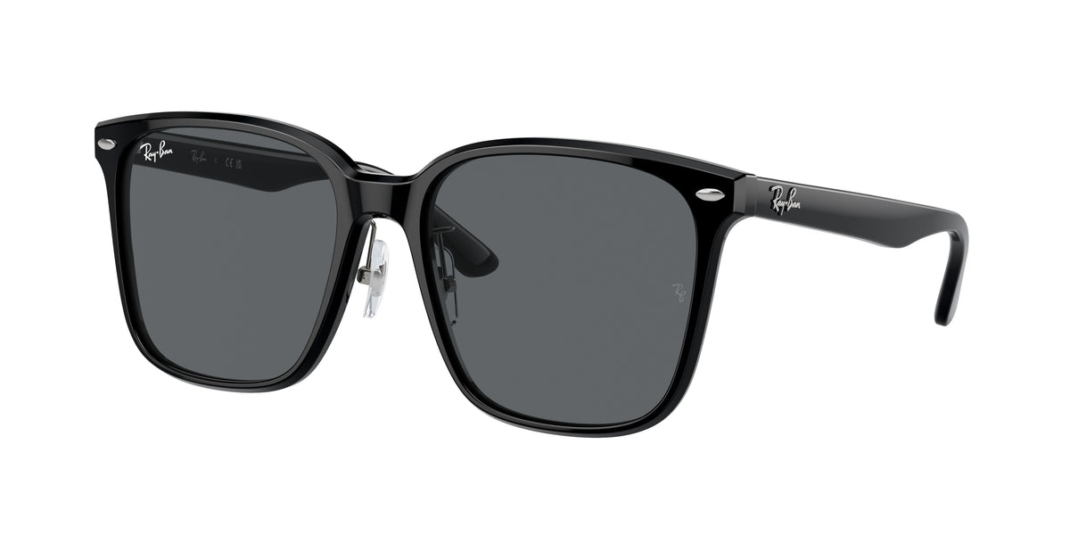 Ray-Ban RB2206D Black Sunglasses