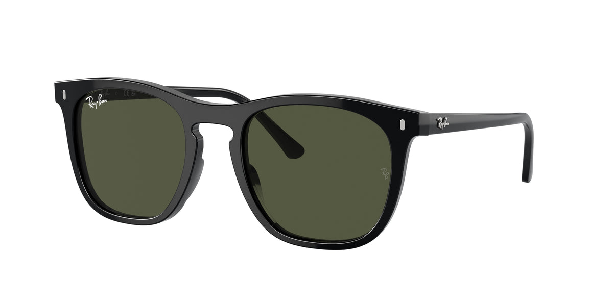 Ray-Ban RB2210F Black Sunglasses