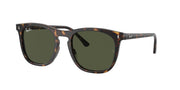 Ray-Ban RB2210 Havana Sunglasses