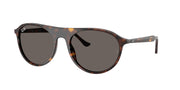 Ray-Ban RB2215F Havana Sunglasses