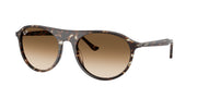 Ray-Ban RB2215 Havana Yellow Turtle Sunglasses