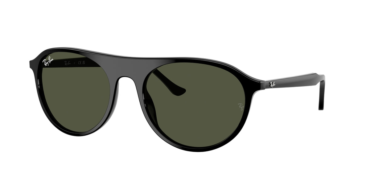 Ray-Ban RB2215 Black Sunglasses