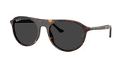 Ray-Ban RB2215 Havana Sunglasses