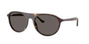 Ray-Ban RB2215 Havana Sunglasses