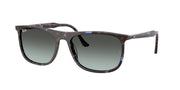Ray-Ban RB2216F Havana Blue Turtle Sunglasses