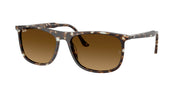Ray-Ban RB2216F Havana Yellow Turtle Sunglasses