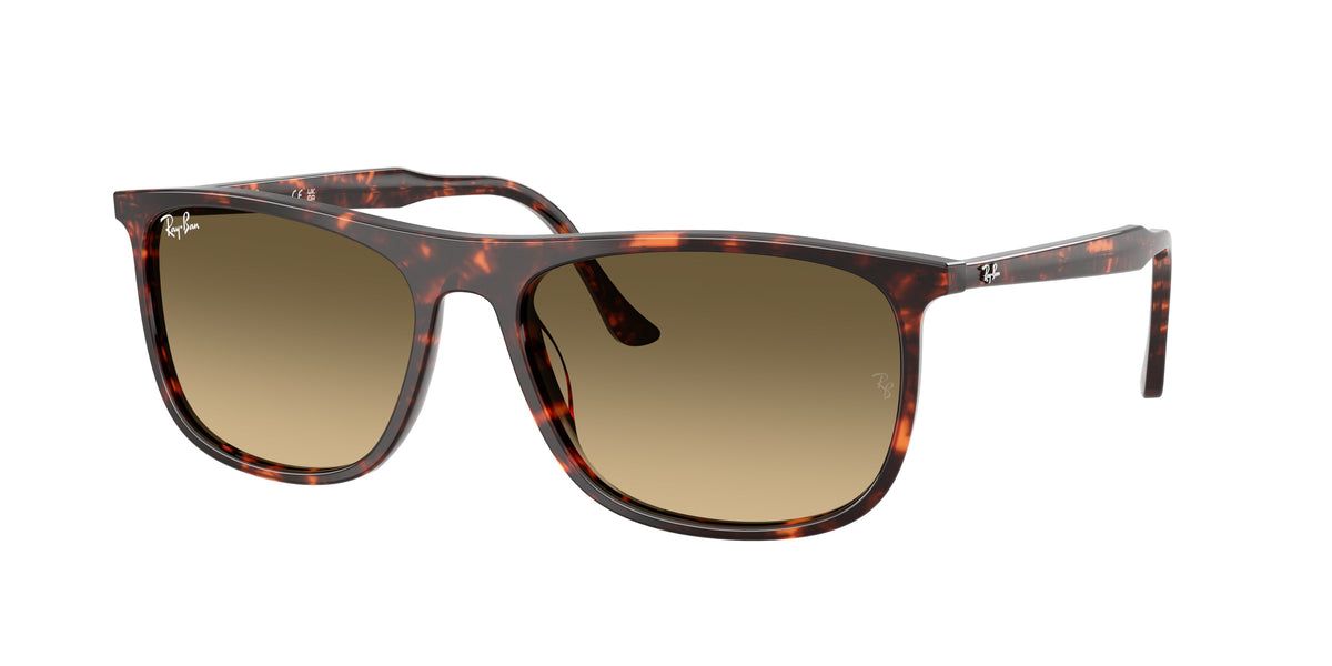 Ray-Ban RB2216 Havana Red Turtle Sunglasses