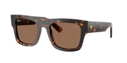 Ray-Ban RB2217M Havana Sunglasses
