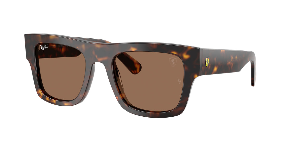 Ray-Ban RB2217M Havana Sunglasses