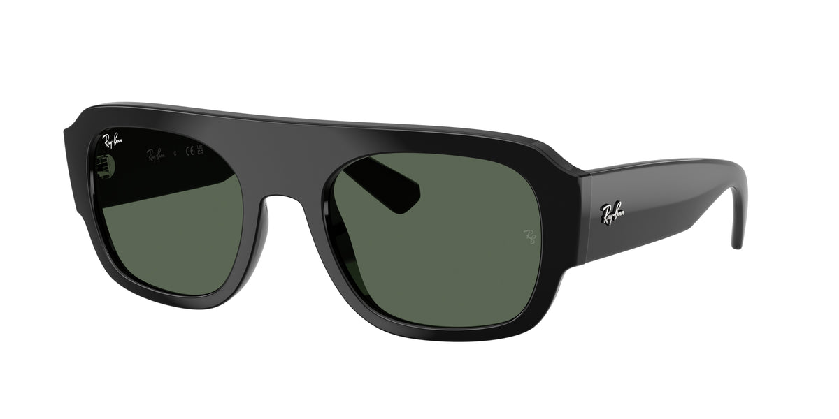 Ray-Ban RB2218 Black Sunglasses
