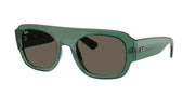 Ray-Ban RB2218 Transparent Green Sunglasses