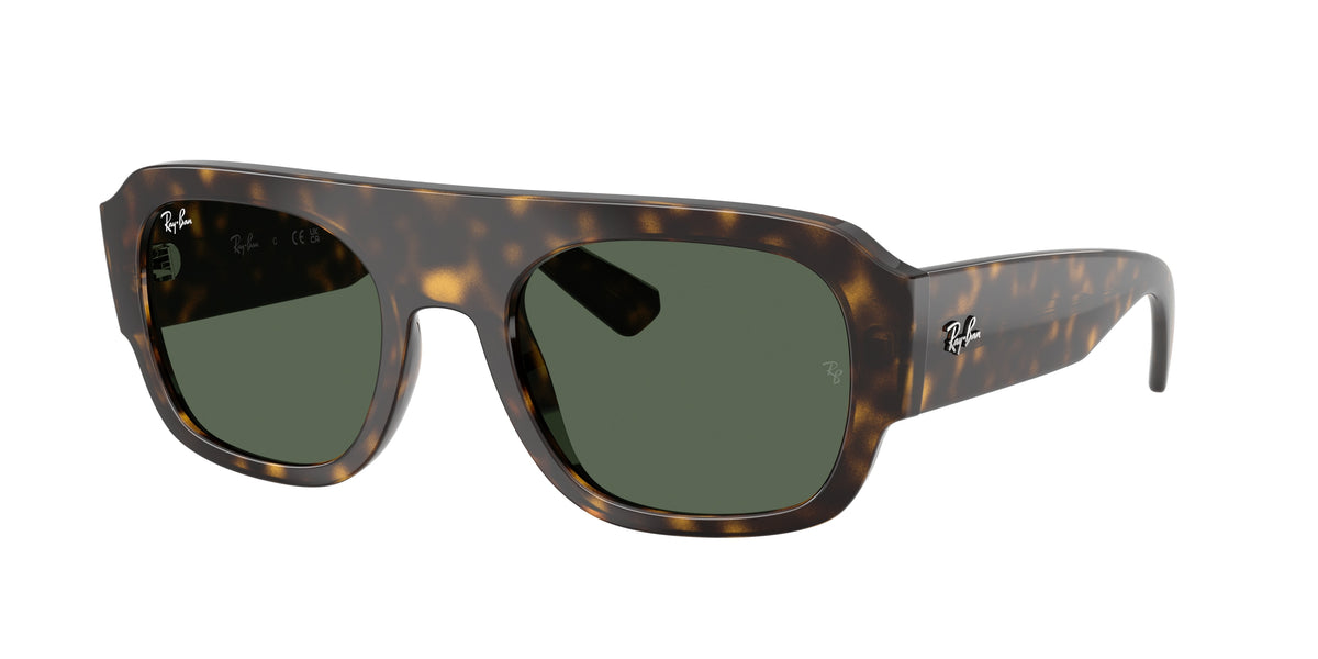 Ray-Ban RB2218 Havana Sunglasses