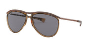 Ray-Ban RB2219 Transparent Havana Sunglasses