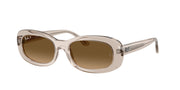 Ray-Ban RB2221F Transparent Beige Sunglasses