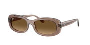 Ray-Ban RB2221 Transparent Beige Sunglasses