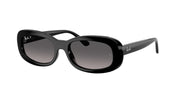 Ray-Ban RB2221 Black Sunglasses