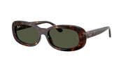 Ray-Ban RB2221 Havana Sunglasses