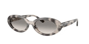 Ray-Ban RB2223F Opal Grey Havana Sunglasses