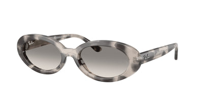 Ray-Ban RB2223F Sunglasses