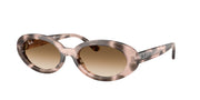 Ray-Ban RB2223F Opal Pink Havana Sunglasses