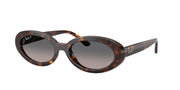 Ray-Ban RB2223F Havana Sunglasses