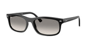 Ray-Ban RB2224F Black Sunglasses