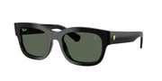 Ray-Ban RB2228M Black Sunglasses