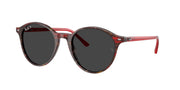 Ray-Ban RB2230 Transparent Shade Fantasy Red Sunglasses