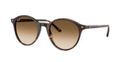 Ray-Ban RB2230 Havana Sunglasses