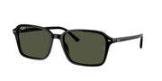 Ray-Ban RB2231F Black Sunglasses