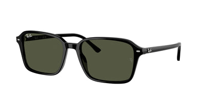 Ray-Ban RB2231F Sunglasses