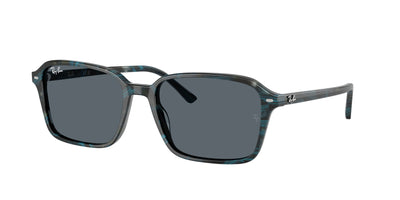 Ray-Ban RB2231 Sunglasses