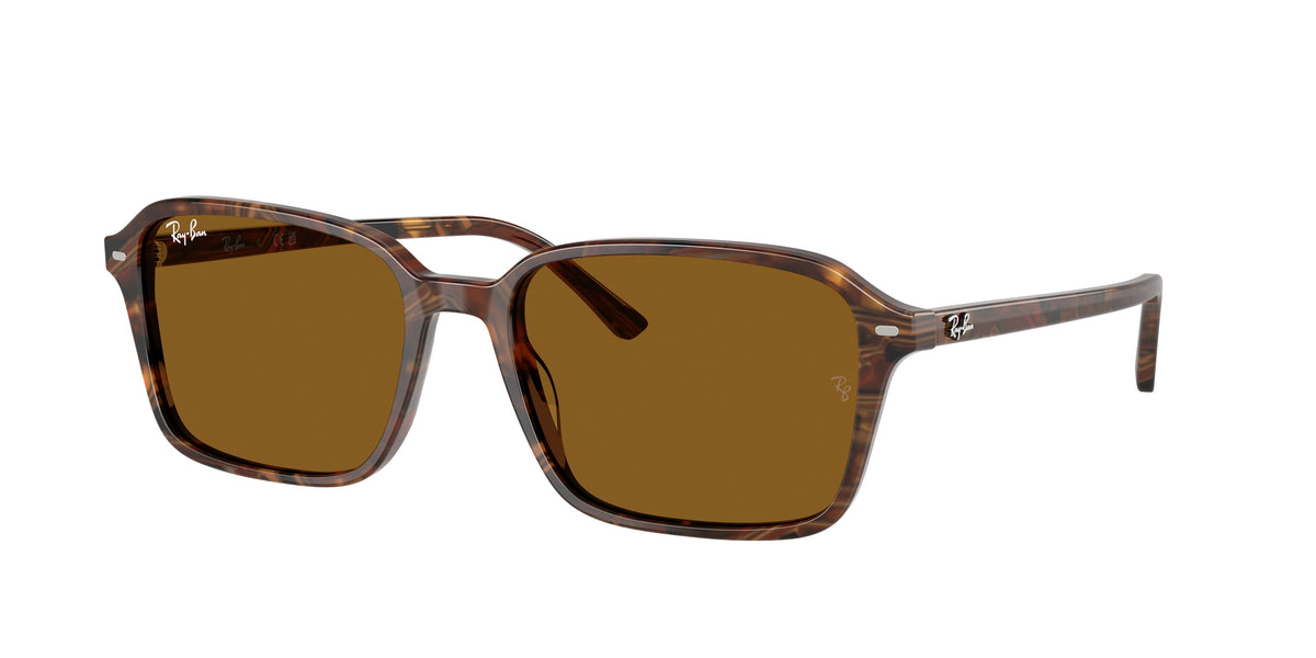 Ray-Ban RB2231 Transparent Fantasy Brown Sunglasses